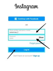 Instagram login details