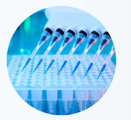 Screenshot 2025 06 06 102731