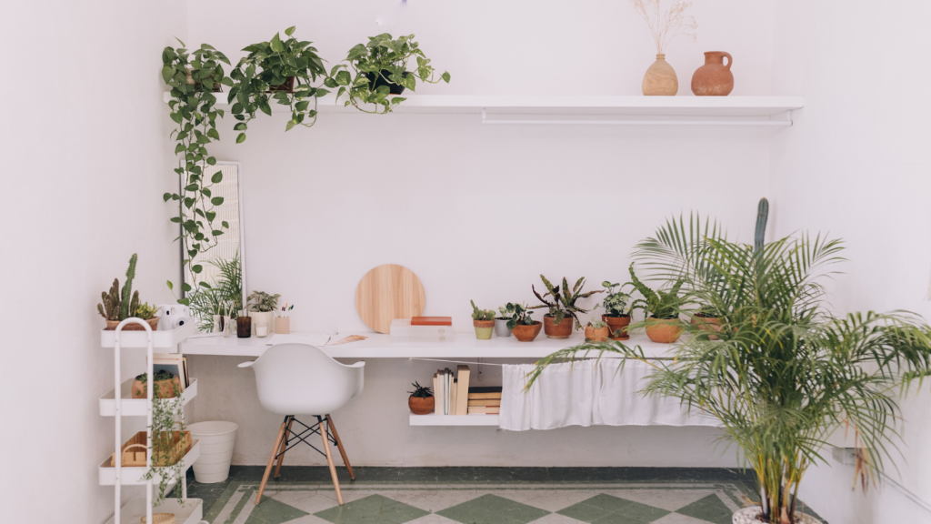 Creating the Ideal Study Environment at Home