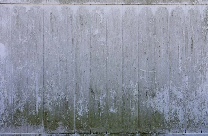 Hidden Hazards: What Your Home Could Be Hiding Behind the Walls