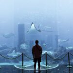 Industries That the Metaverse is Destined to Change Forever