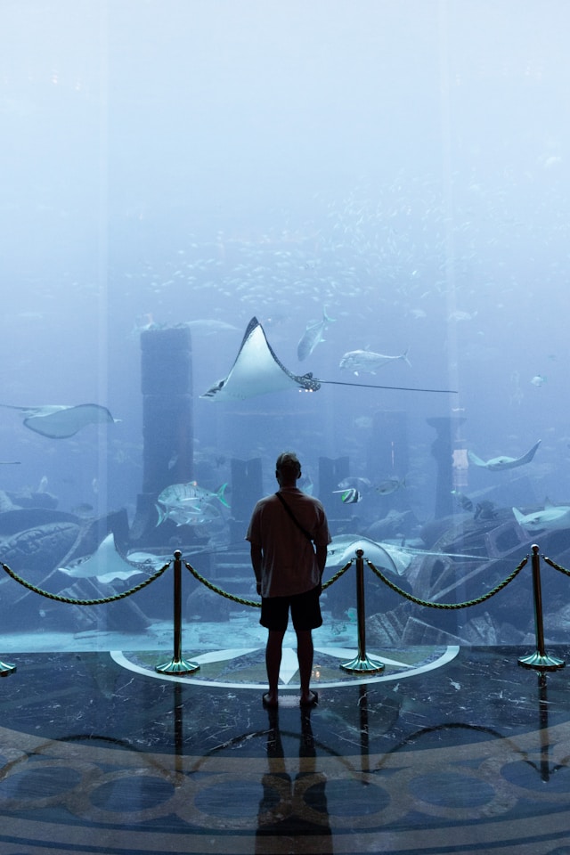 Industries That the Metaverse is Destined to Change Forever
