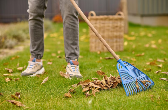 Holding Ground: How to Prepare Your Artificial Lawn for Windy Weather