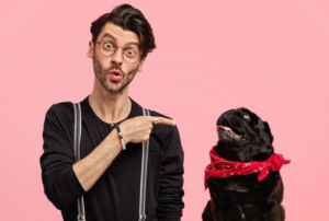 http://What%20The%20Heckin%20Dog?
