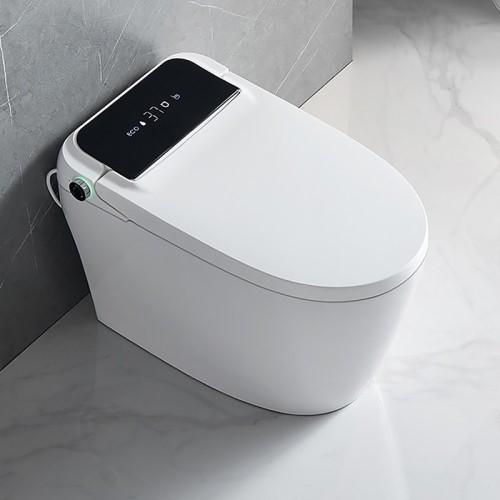 Choosing the Best Smart Toilet Brand: A Buyer’s Guide