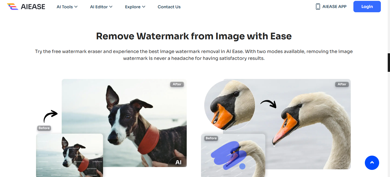 How to Remove Watermark from an Image Quickly and Easily with AI Ease