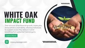 White Oak Impact Fund Driving Sustainable & Socially Responsible Investments