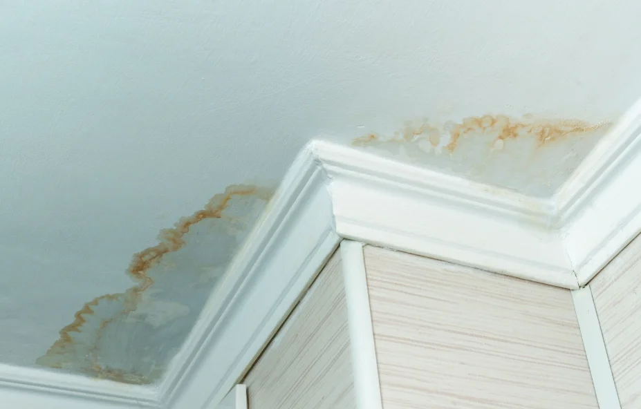 The Next Steps: Post-Leak Detection Processes Explained
