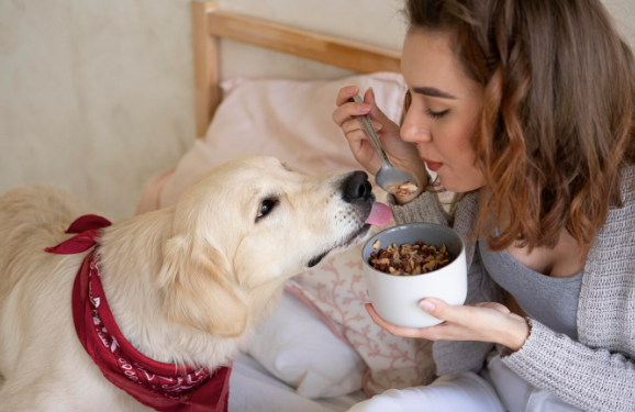 What Makes a Mushroom Supplement Suitable for Your Dog’s Daily Routine