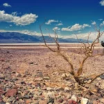 Understanding Climate Change: Causes, Effects, and What We Can Do