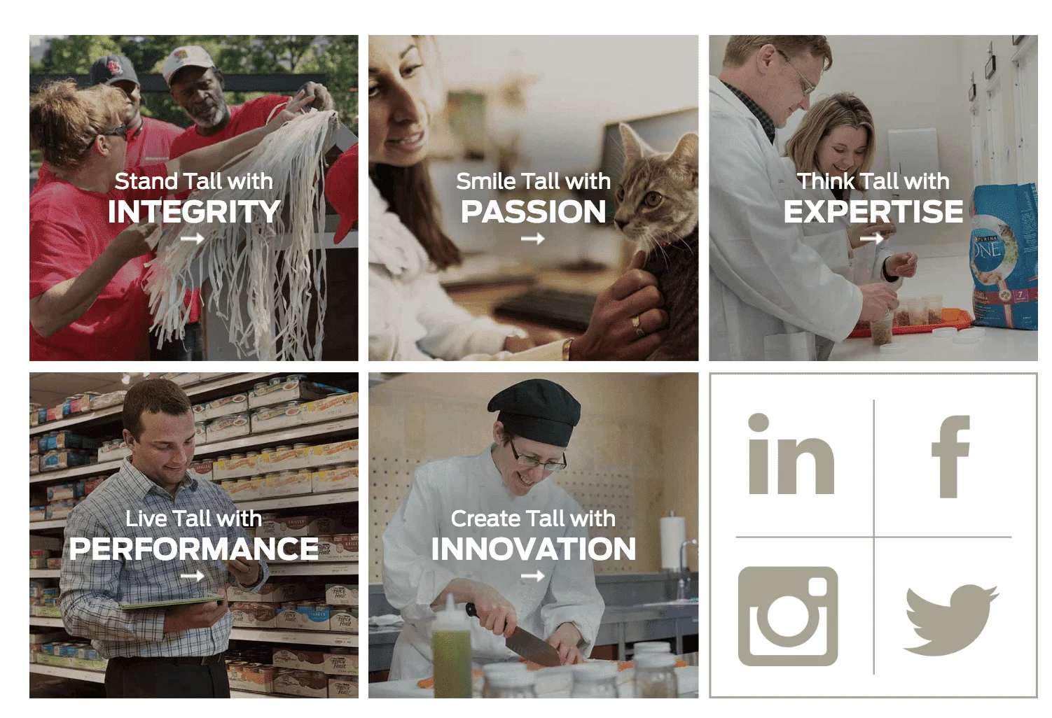 The Unexpected Rise of ‘Southern UX’ and What It Means for Web Design in Columbia, SC