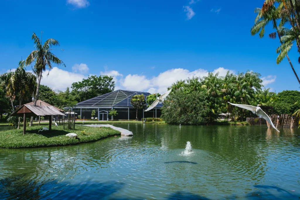 Sustainable Living and Real Estate in the Bahamas: A Blueprint for Eco-Friendly Island Development