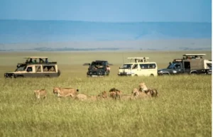 http://Why%20More%20Indians%20Are%20Choosing%20Kenya%20Safaris%20in%202025?
