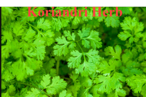 http://Koriandri%20–%20Origins,%20Benefits,%20and%20Uses