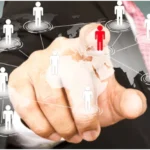 Unlocking Niche Audiences Through A Strategic Market Segmentation Service