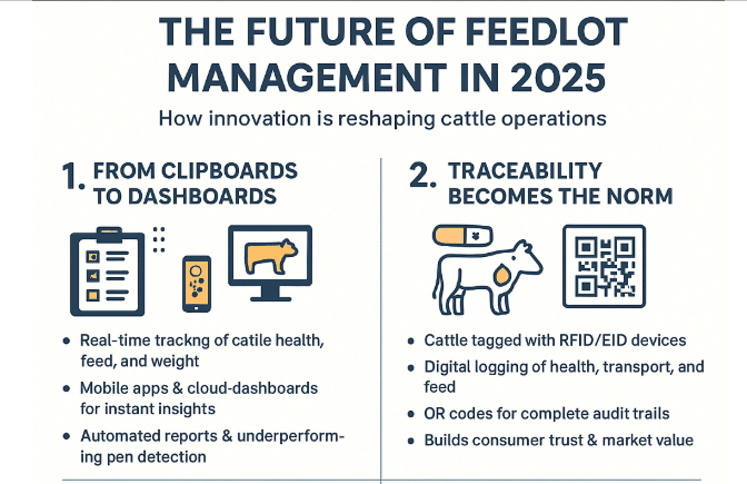The Future of Feedlot Management: Innovations Reshaping Cattle Operations in 2025