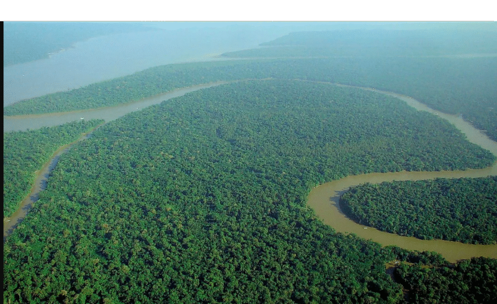 Antolohe – Exploring the Hidden Wonders of the Amazon Forest