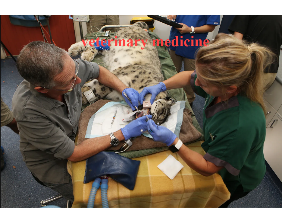 Vet Tech Cri Math: A Complete Guide to Veterinary Technology and Mathematical Skills