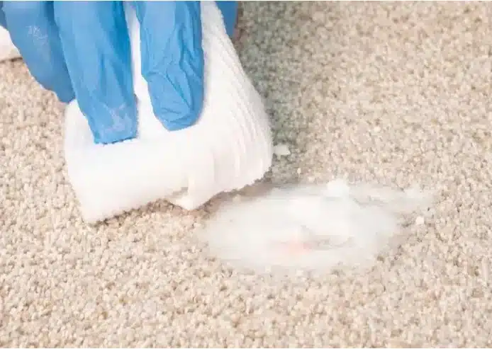 How Prolux Cleaning Ensures Spotless Carpets Across London