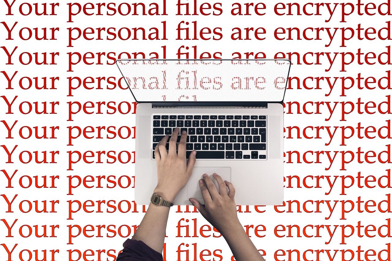 NSA Suite B Encryption: A Complete Guide to Modern Cryptographic Standards