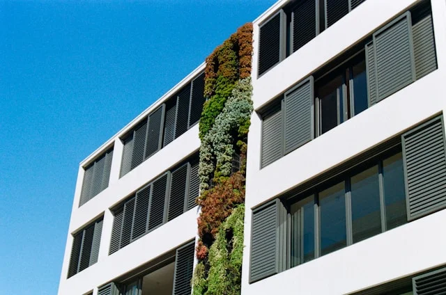 Sustainability Consulting: Your Guide to Long-term Environmental Impact