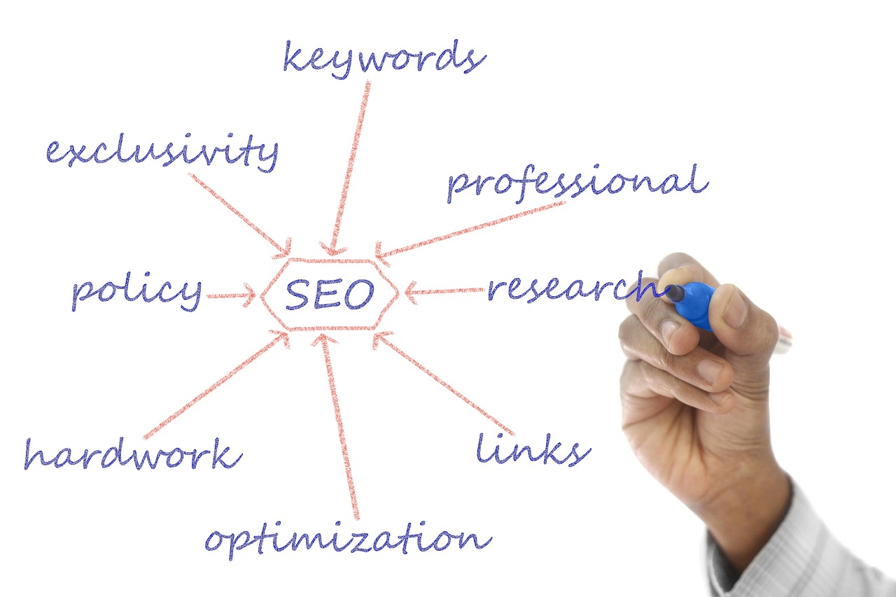 seekde: Unlocking the Future of Search and Visibility