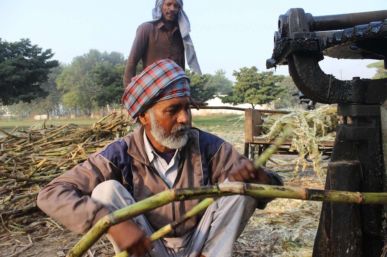 Wellhealthorganic.com:jaggery-with-incredible-health-benefits A Complete Guide