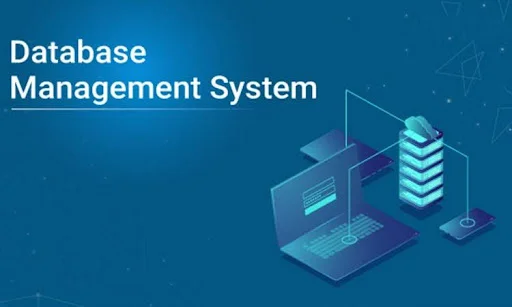 Remote Database Support: When and Why to Use It