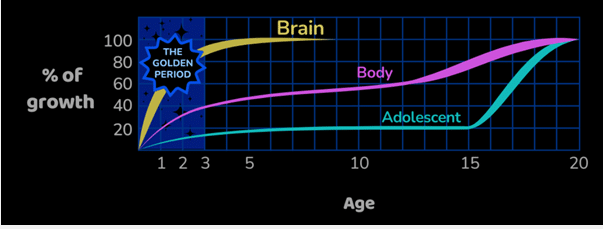 What Is the Average IQ for a 14 Year Old: Complete Guide