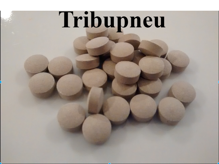 Tribupneu: Complete Guide, Uses, Benefits, and Details