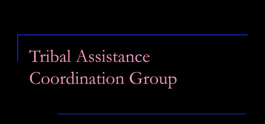 What is the Tribal Assistance Coordination Group: Complete Guide, Role, and Importance