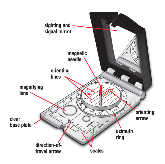 What Do All Good Orienteering Compasses Have: A Complete Guide to Precision Navigation