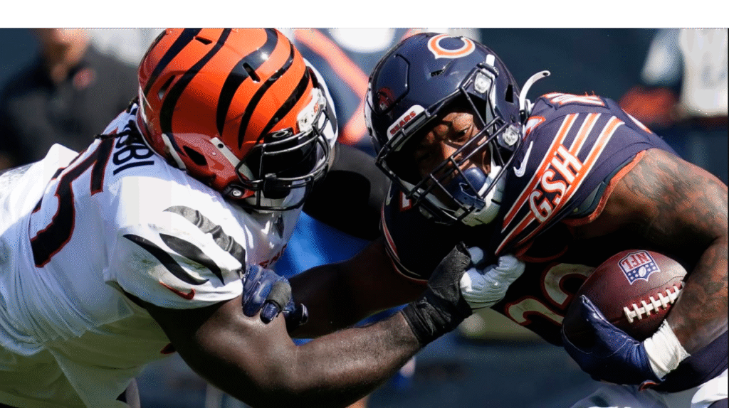 Chicago Bears VS Bengals Match Player Stats — Full Game Recap and Performance Breakdown