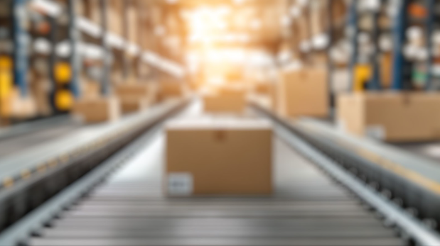 The Hidden Costs of Poor Logistics: Delays, Damage & Reputation Risk