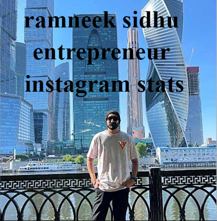 ramneek sidhu entrepreneur instagram stats: A Deep Insight into His Digital Influence