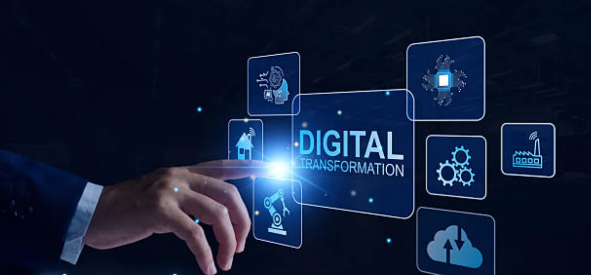 Kingxomiz: Exploring a Modern Digital Service Platform