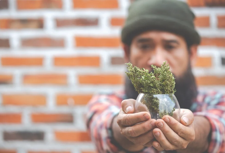 Is THCA Flower Legal in Kentucky? 