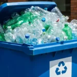 A Complete Guide to Dumpster Rental: Efficient Waste Management for Projects of Every Size