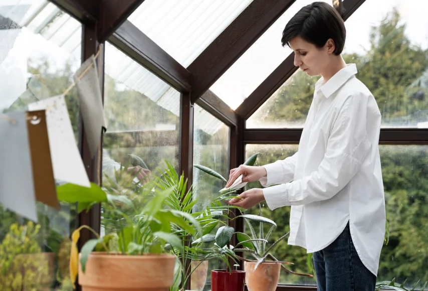 3 Signs Your Greenhouse Will Need a New Acrylic Panel Soon