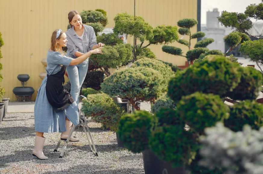 Mastering Modern Landscape Construction: A Complete Guide to Transforming Outdoor Spaces