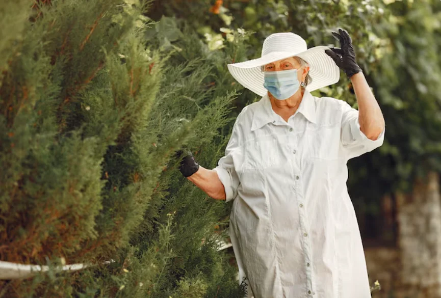 The Comprehensive Guide to Tree Removal: Ensuring Safety, Beauty, and Long-Term Landscape Health