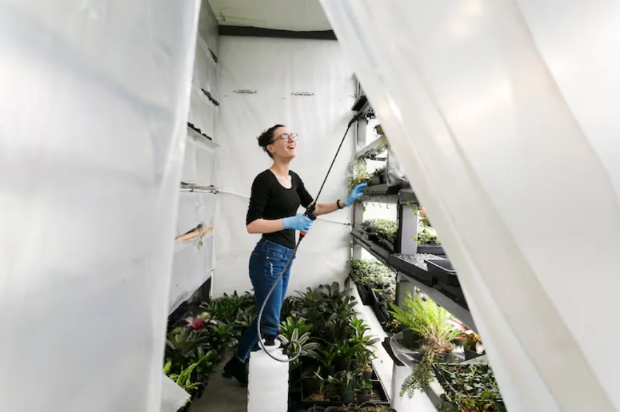 Soft Washing: The Safe and Effective Way to Clean Your Home’s Exterior