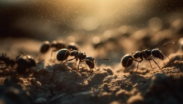 Effective Strategies for Ant Control: Protecting Your Home and Health