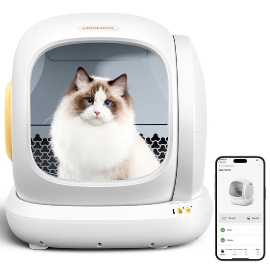 Traditional vs. Smart Litter Boxes: Which is Safer for Your Cat?