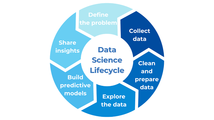 Team Collaboration: Agile Role Definition: Defining the Data Scientist's specific responsibilities and interaction points within a Scrum or Kanban framework.
