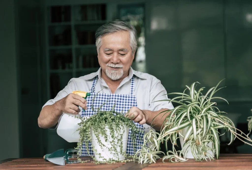 Second Acts: Why More Seniors Are Turning to the Cannabis Industry for Meaningful Work